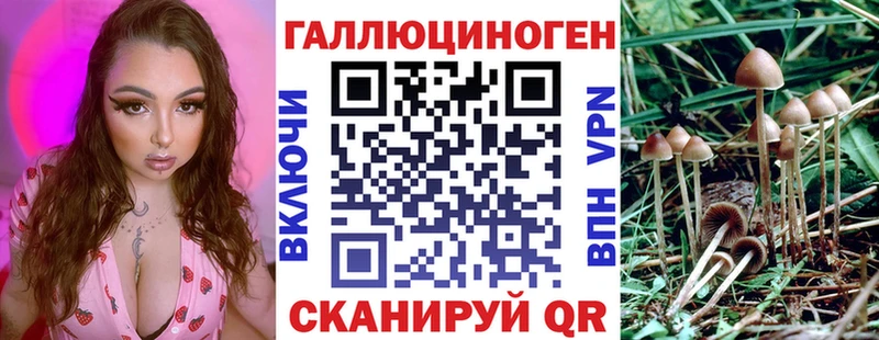Псилоцибиновые грибы GOLDEN TEACHER  Каргополь 